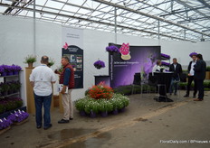 Natuurlijk liet Butterfly Garden ook verschillende soorten zien.